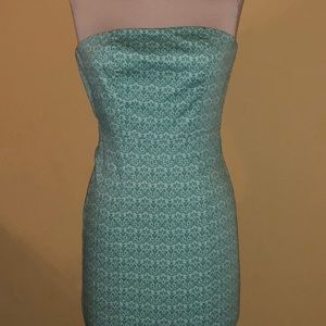 Express Stretch Fitted Tube Dress